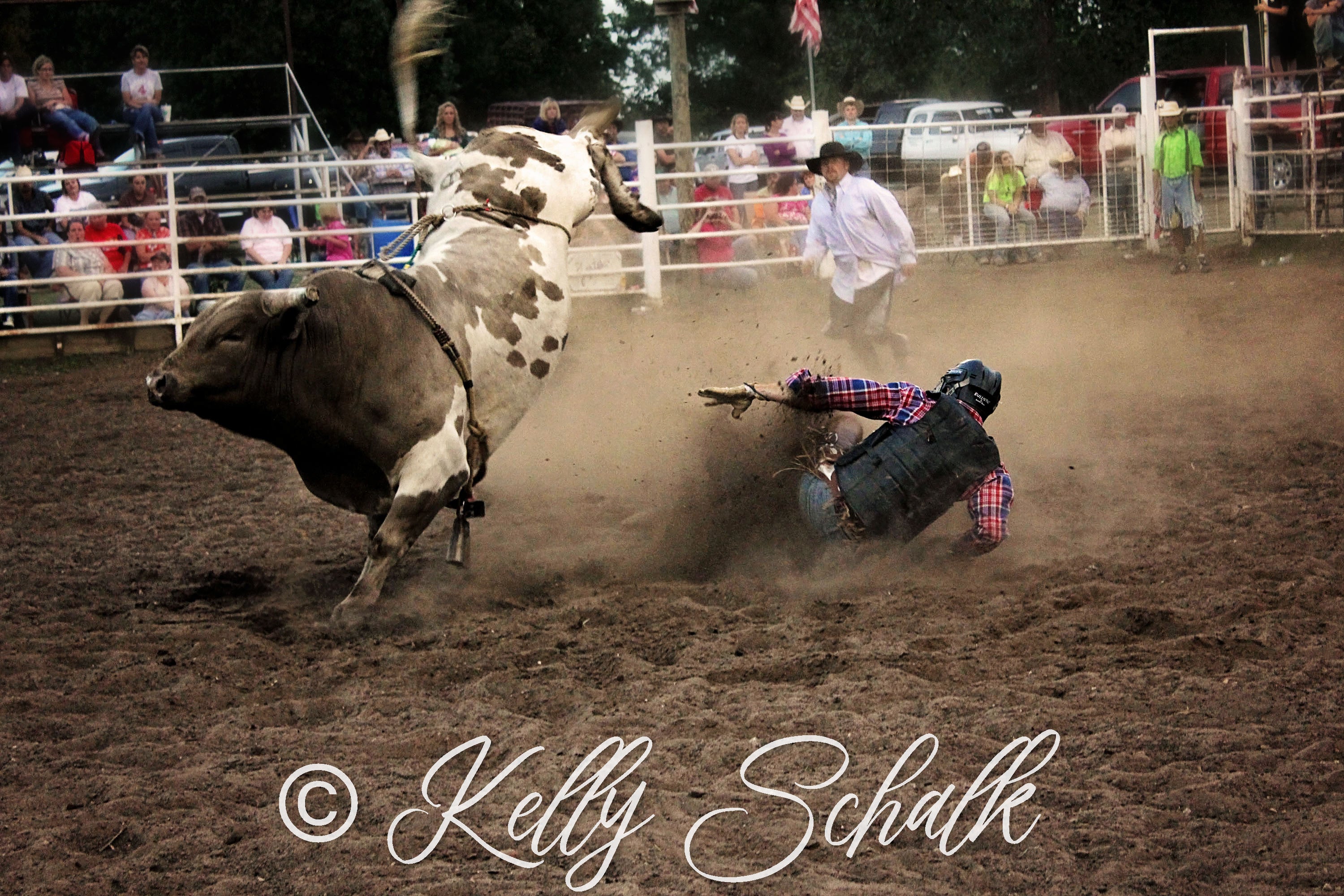 A vibrant bullriding photo print showcasing a cowboy riding a bucking bull in action, capturing the thrill of rodeo sports.