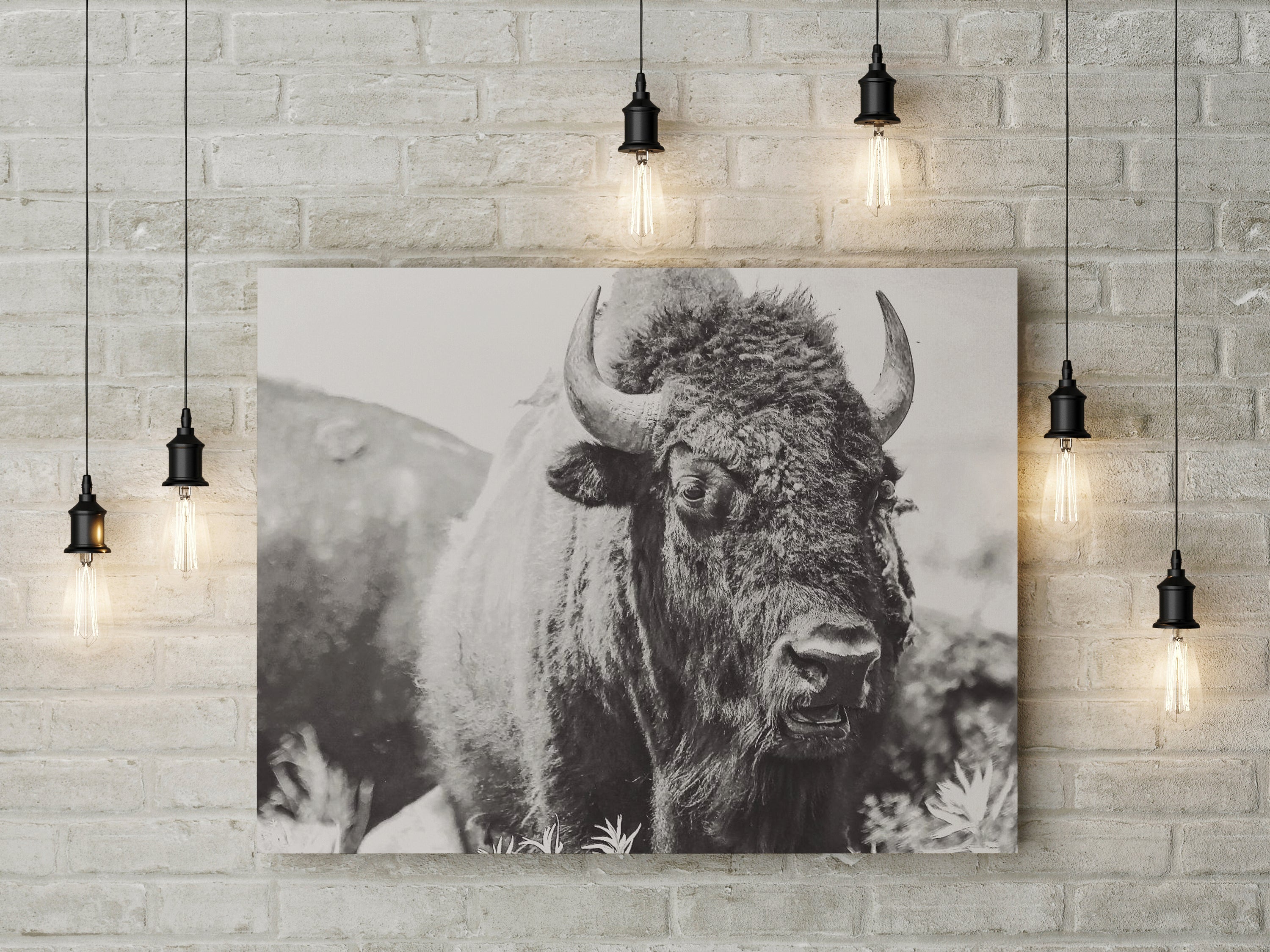 Close-up black and white canvas art of a bison, showcasing its detailed features and textures.