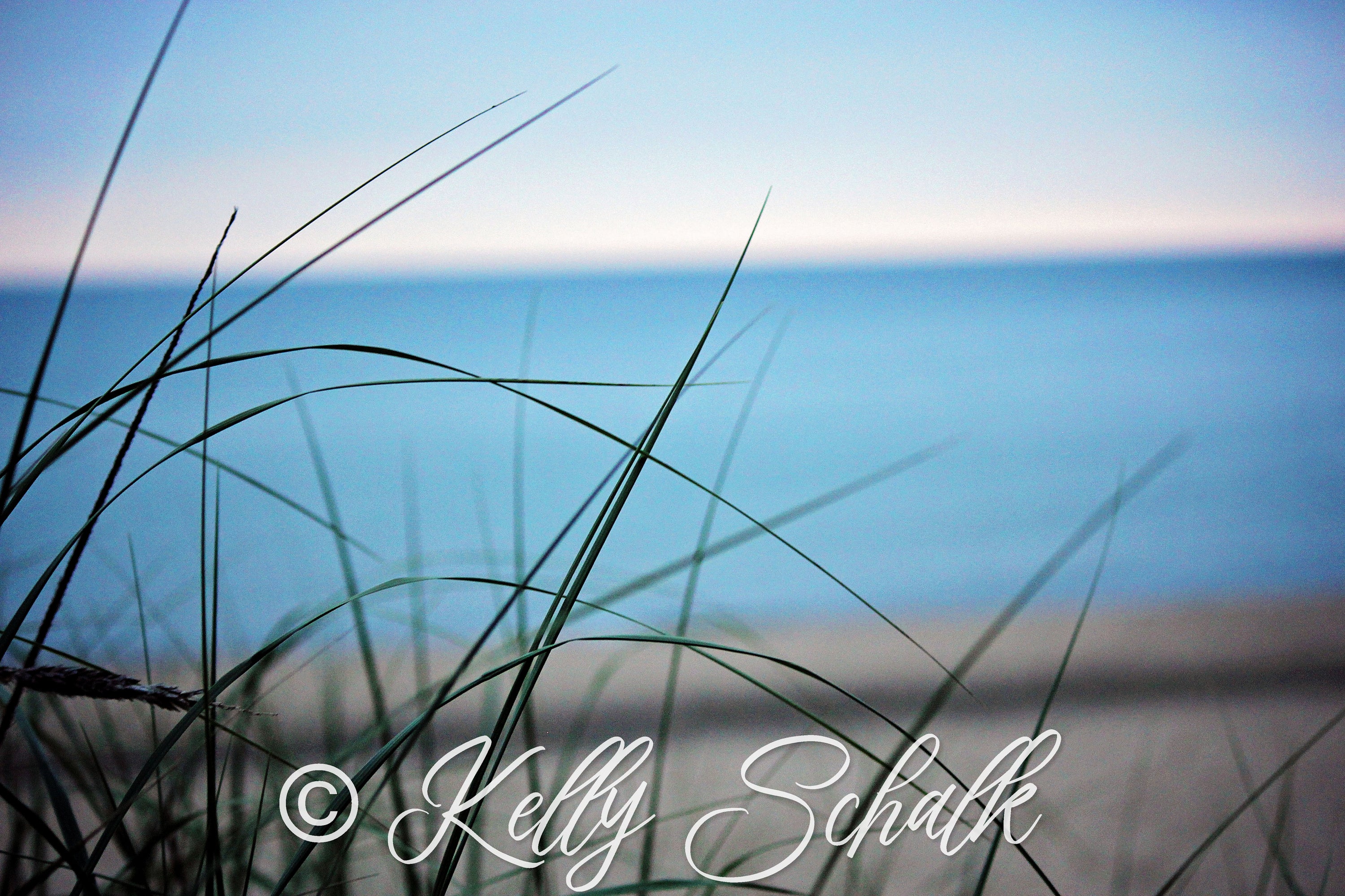 A beautiful shoreline photo print showcasing serene beach scenery with gentle waves and soft sand.