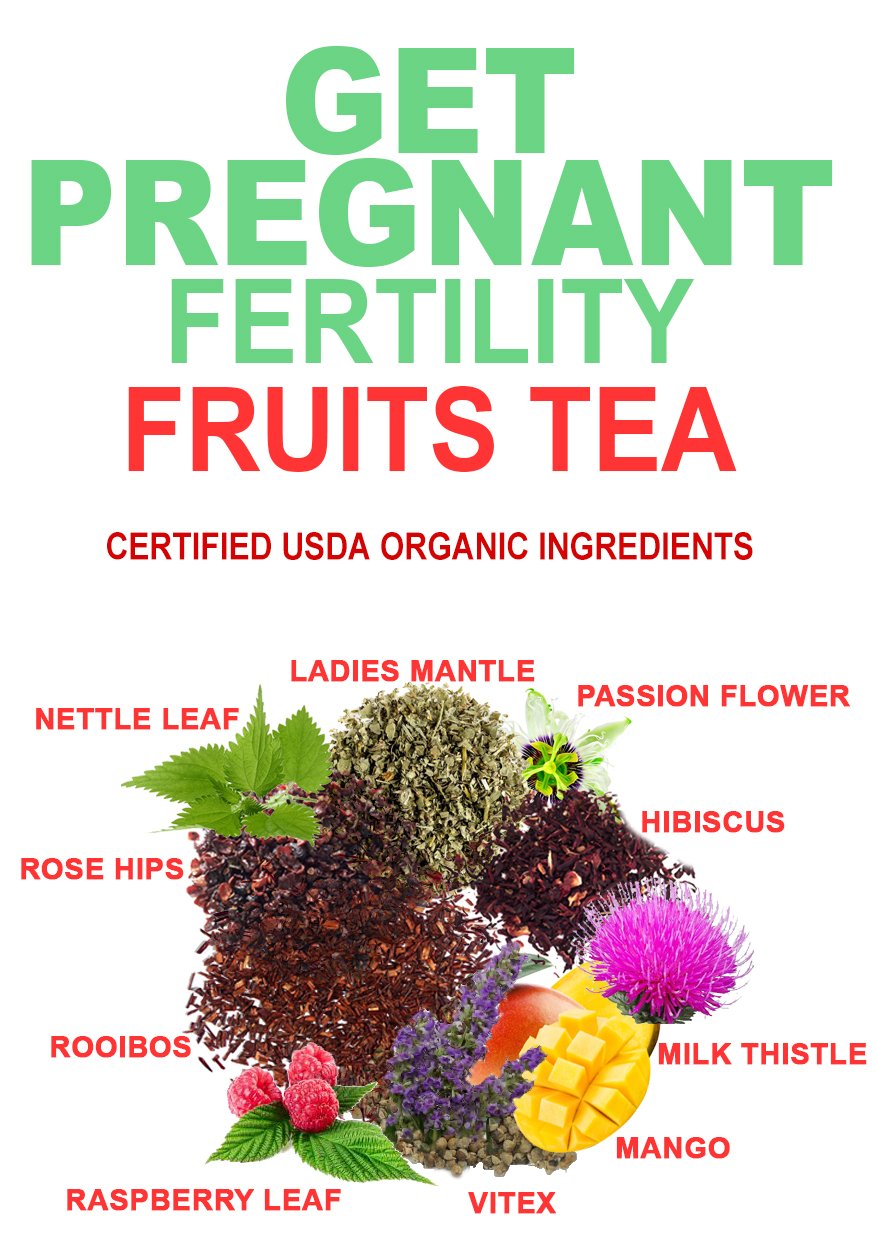 A box of Get Pregnant Fertility Fruits Tea featuring organic herbal blend sachets, ideal for supporting women's fertility.