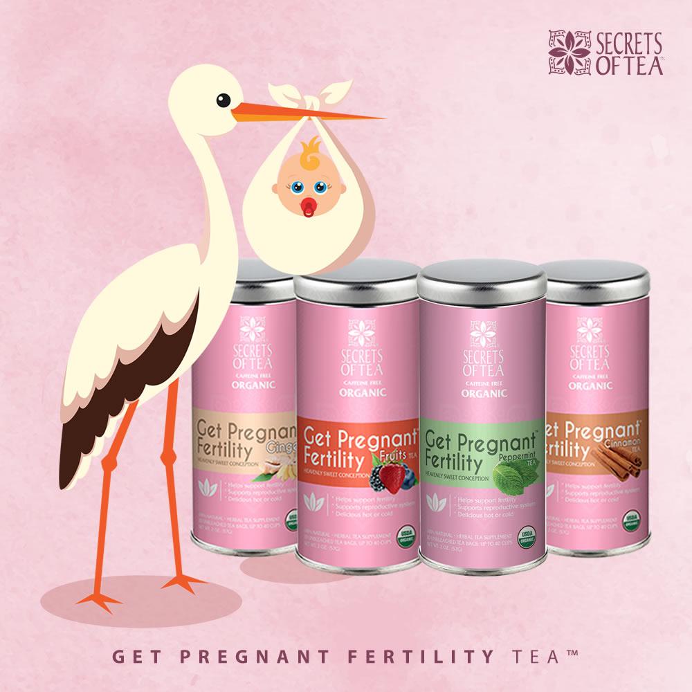 A box of Get Pregnant Fertility Fruits Tea featuring organic herbal blend sachets, ideal for supporting women's fertility.