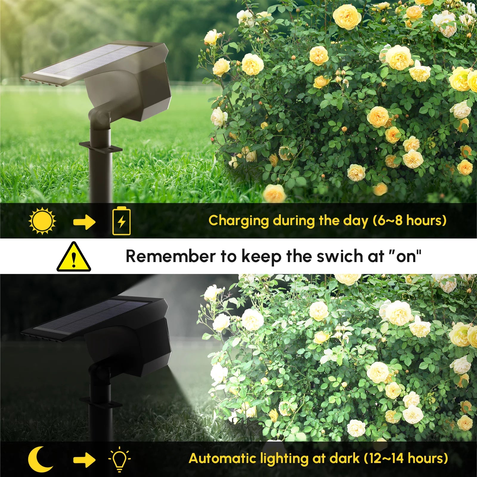 OriginalSoucing Garden Solar Powered Spotlights with multiple colors and waterproof design, ideal for outdoor lighting.