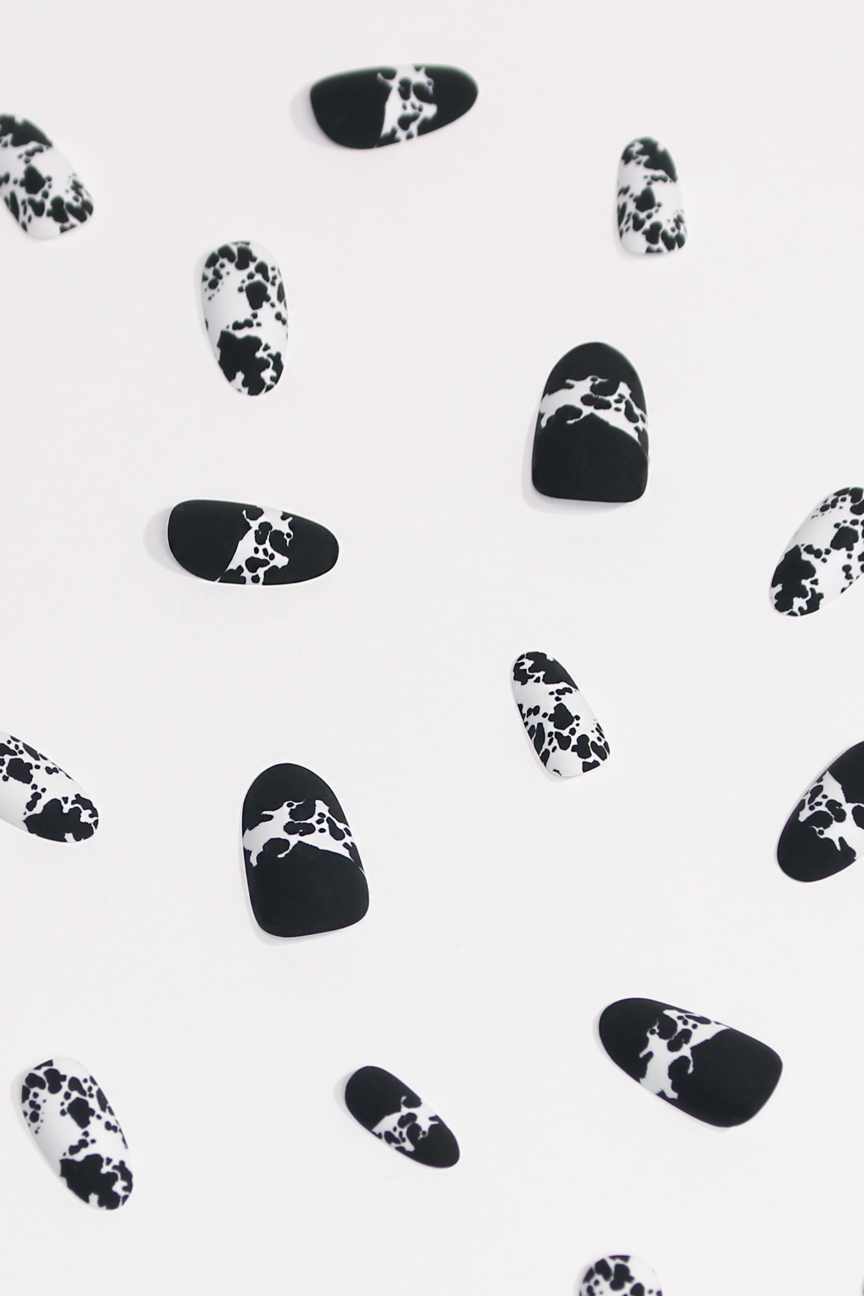 Coco Moo press-on nails featuring a playful black and white cow print design, perfect for stylish manicures.