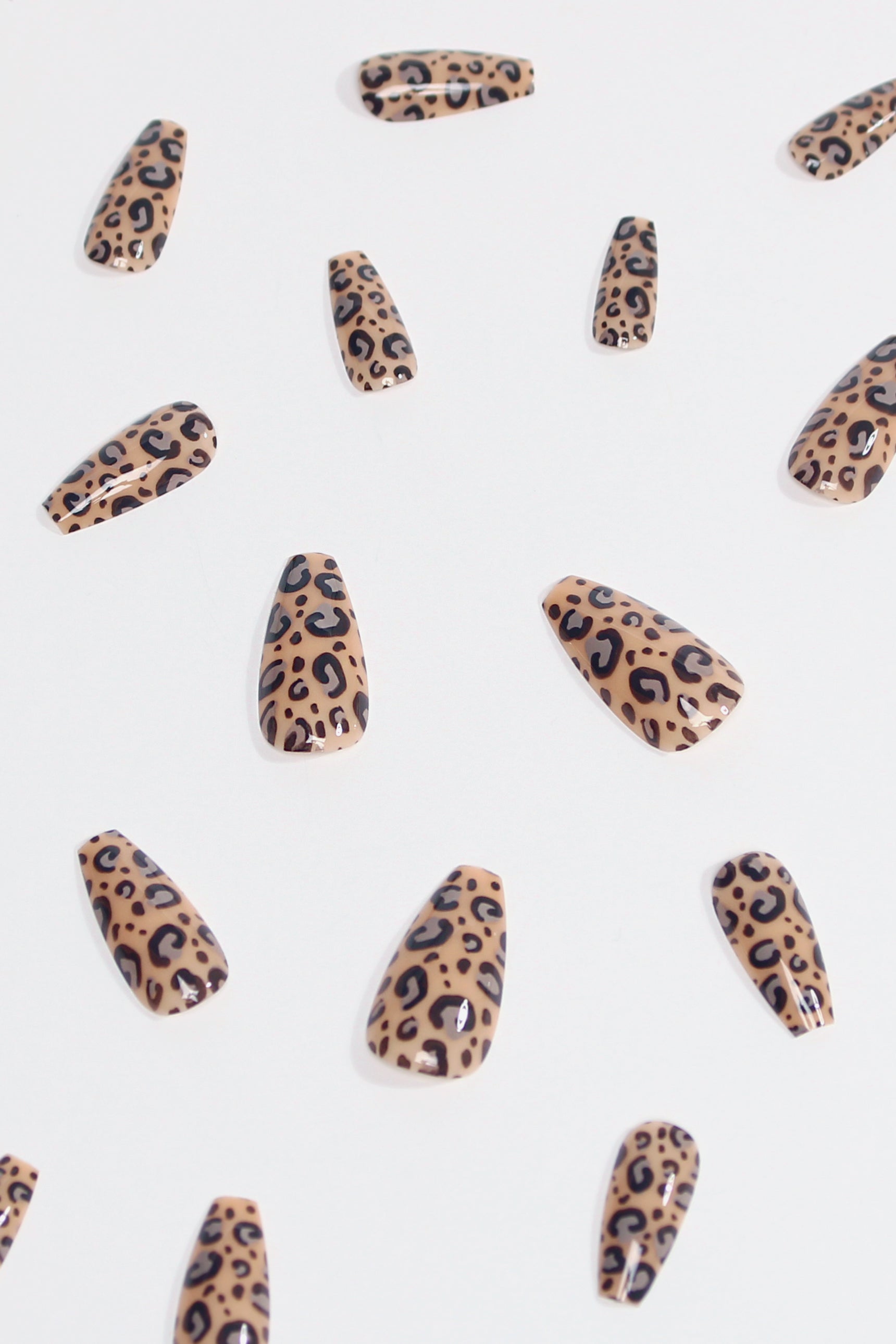 A set of Urban Jungle press-on nails featuring intricate nature-inspired designs in earthy tones, showcasing their unique patterns and quality.