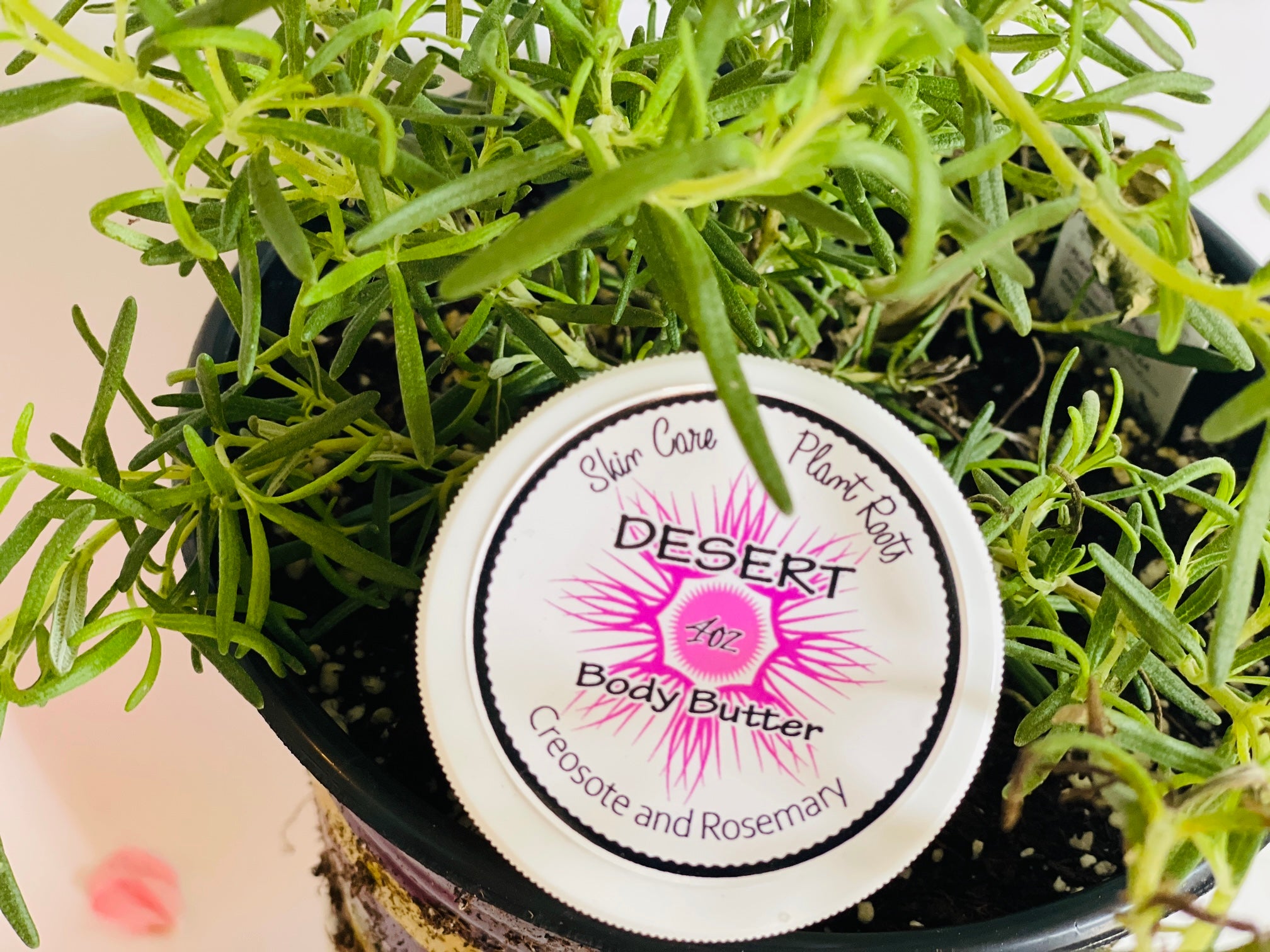 A jar of Desert Body Butter featuring a creamy texture, surrounded by natural ingredients like Shea butter and Rosemary leaves.