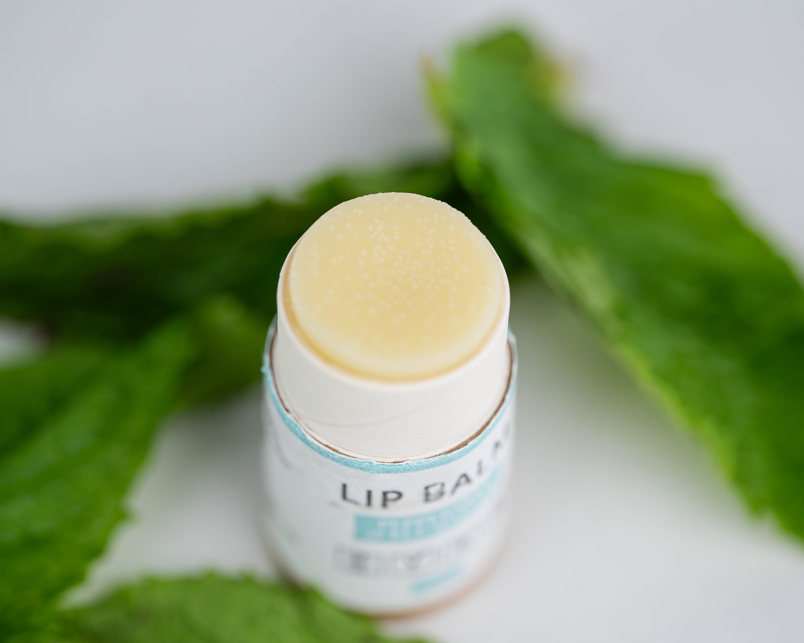 A collection of five lip balms in various flavors, showcasing their vibrant packaging and natural ingredients.