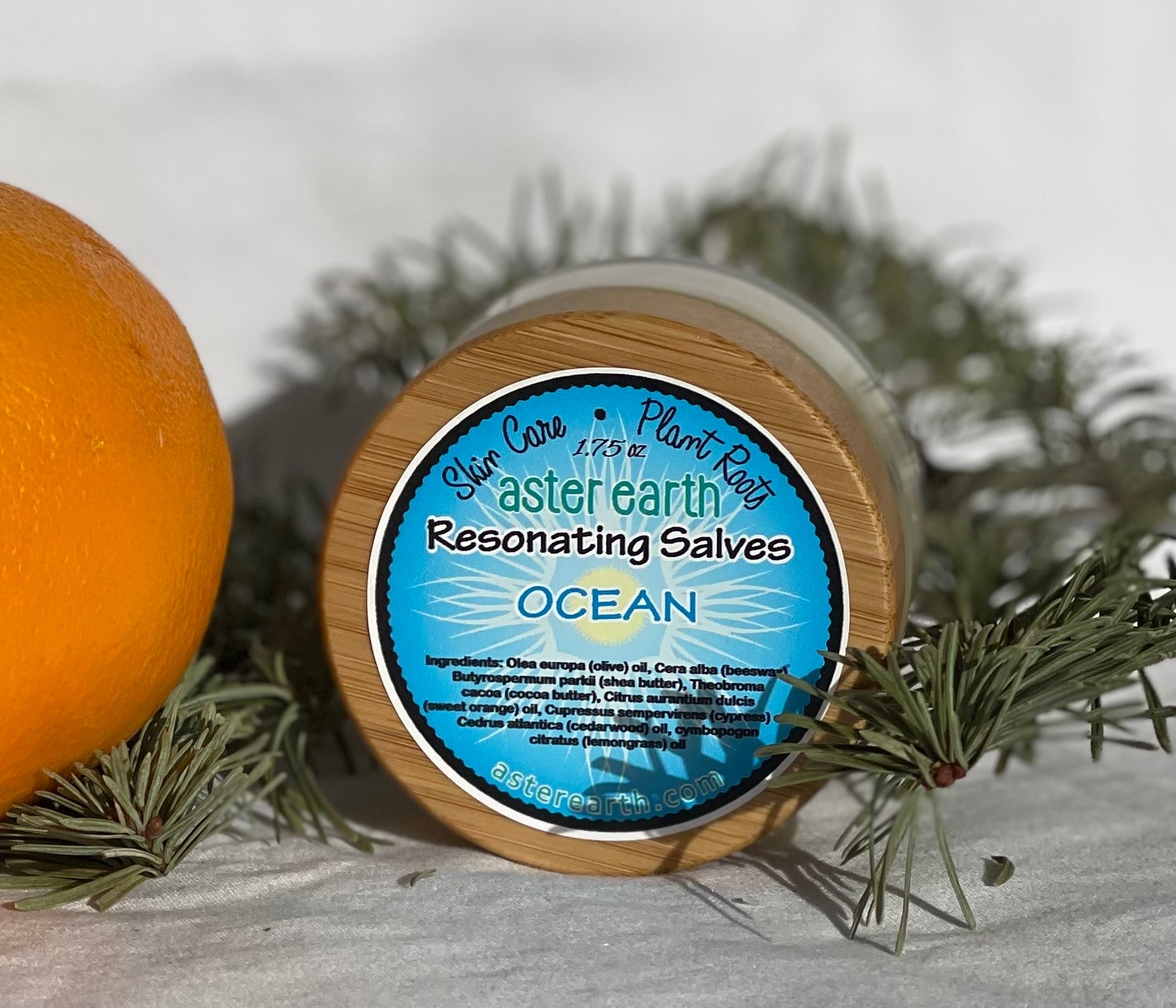 A jar of Ocean Resonant Salve with a rich, creamy texture, surrounded by natural ingredients like beeswax and olive oil.