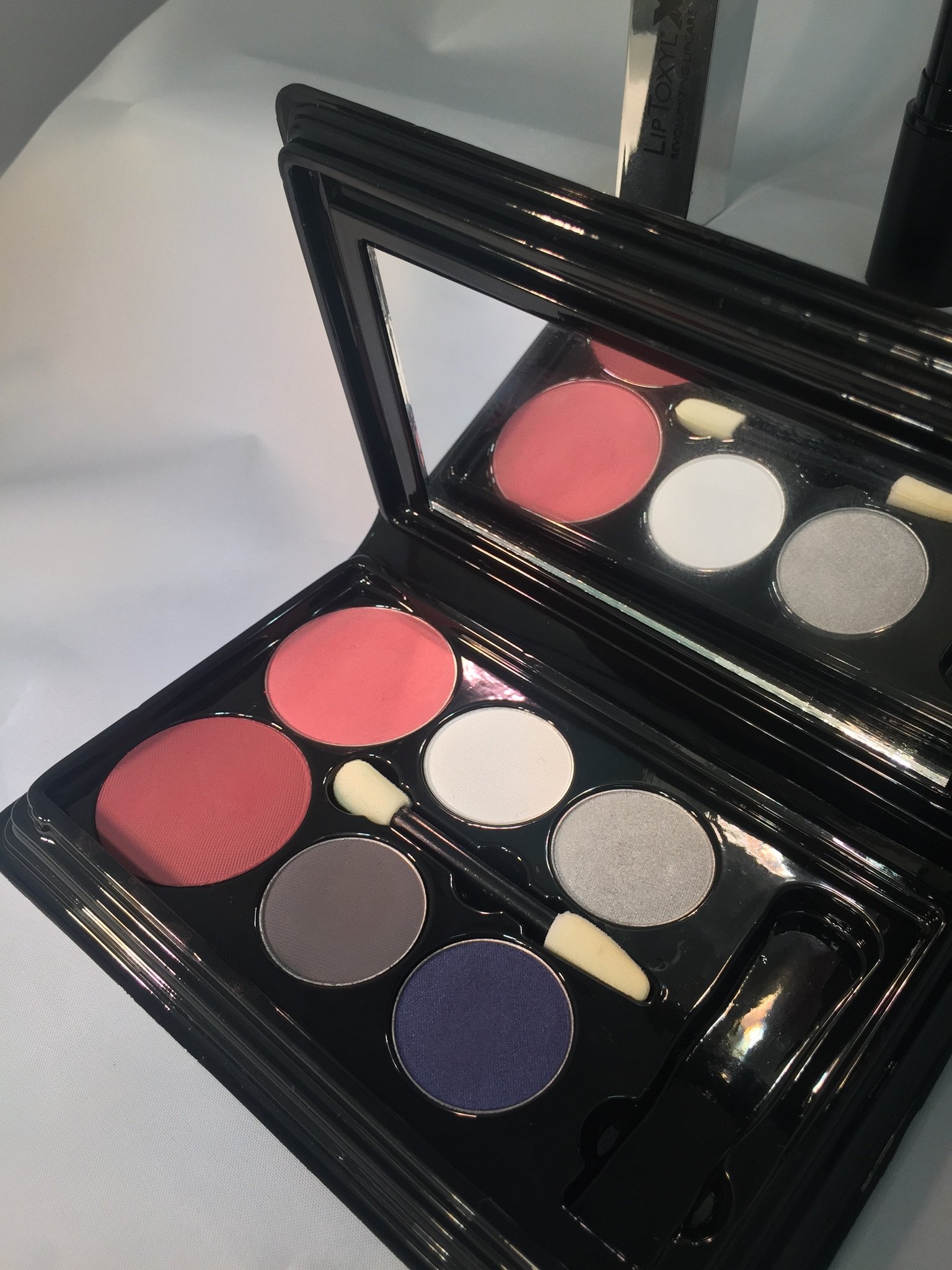 Danyel Cosmetics Cabernet Smokey Eye Color Collection featuring four eyeshadows and two blushes in elegant packaging.