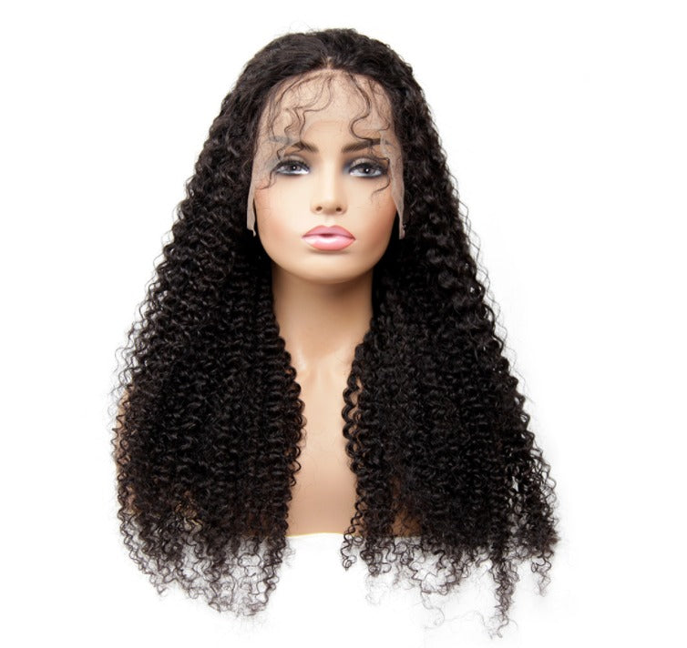 A beautiful 13x1x4 Kinky Curly T Part Lace Wig made from 100% human hair, showcasing its natural curls and transparent lace.