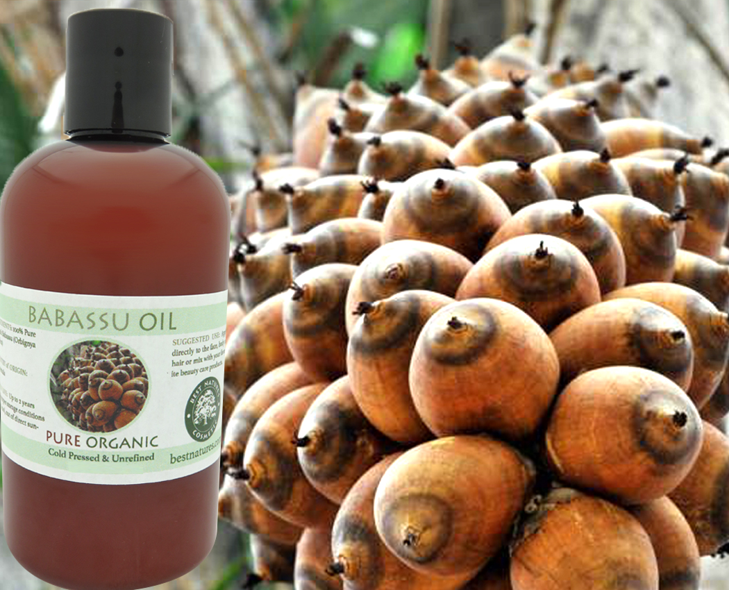 Bottle of babassu oil with babassu nuts