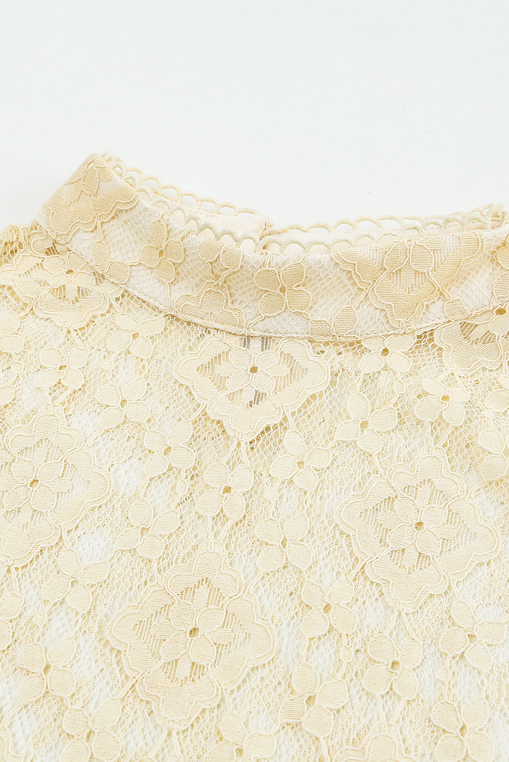 Beige Mock Neck Lace Blouse with intricate lace detailing and long sleeves, perfect for stylish layering.