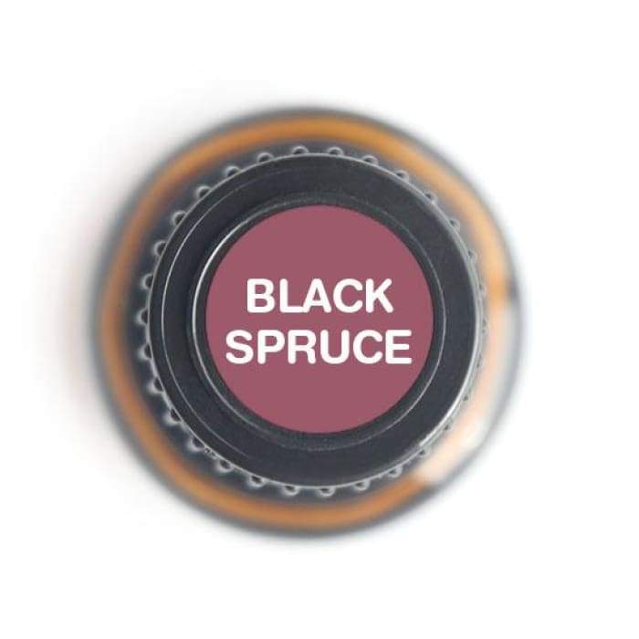 15ml bottle of Black Spruce Pure Essential Oil with a natural wood background, showcasing its colorless to pale yellow liquid.