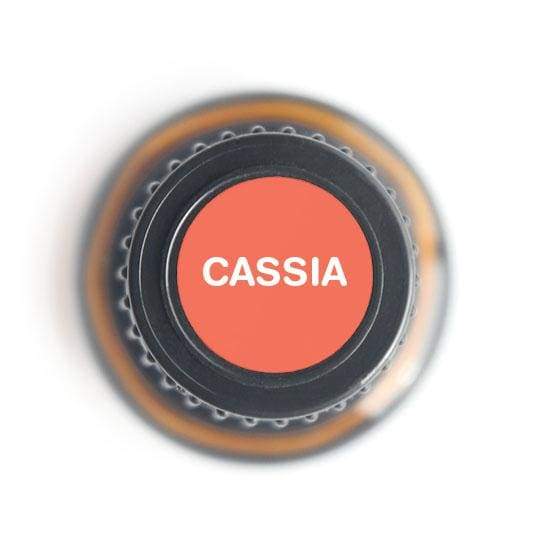 15ml bottle of Cassia Pure Essential Oil with a warm, spicy aroma, ideal for aromatherapy and natural remedies.