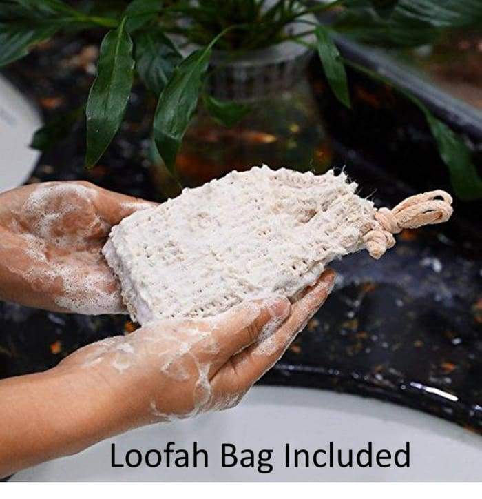 Focus Shower Smoothies 25 Pack with essential oils for hydration and clarity, displayed in a loofah bag.