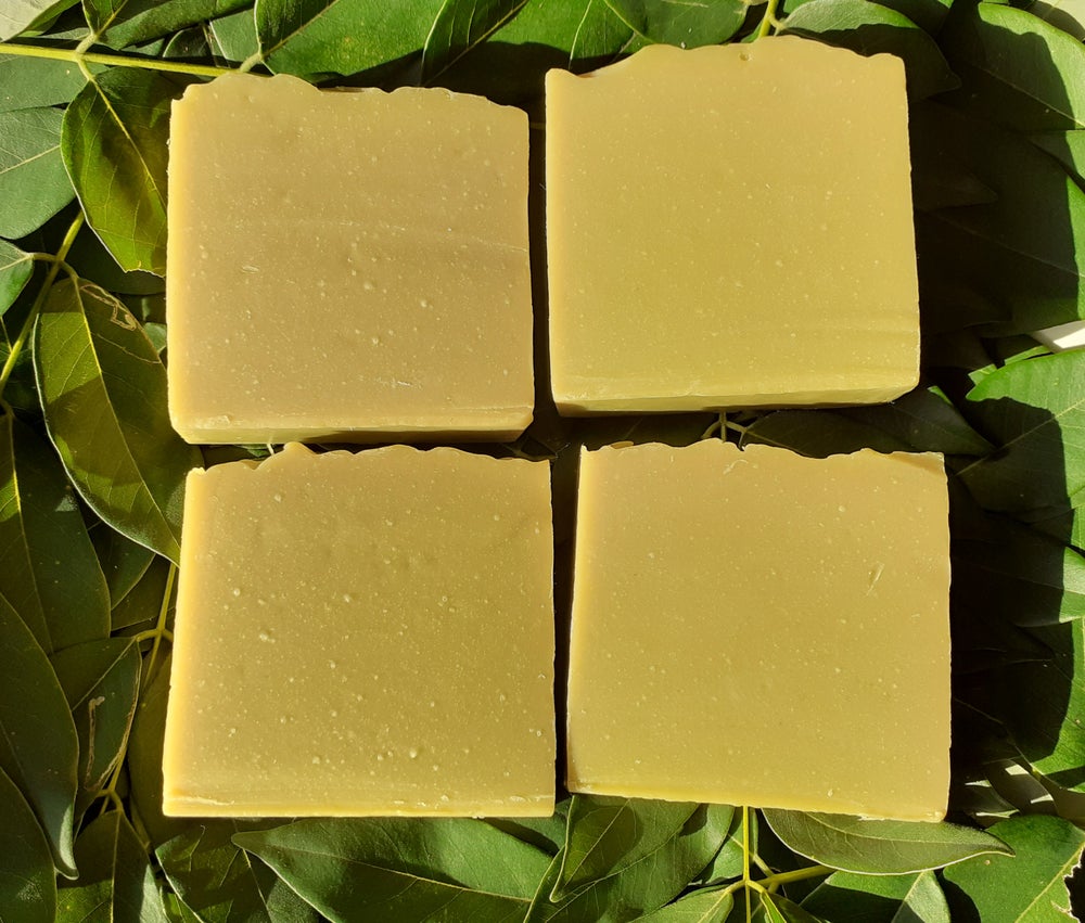 Glory Cedar Bath Soap bar with natural cedar plant background, showcasing its organic ingredients and soothing properties.