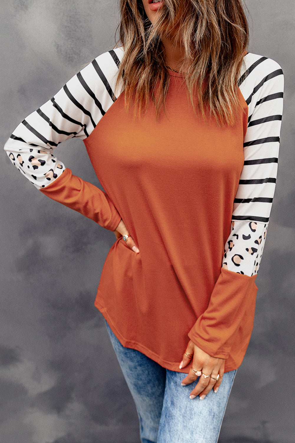 Gray Striped Animal Print Colorblock Long Sleeve Top featuring a trendy design with stripes and animal prints.