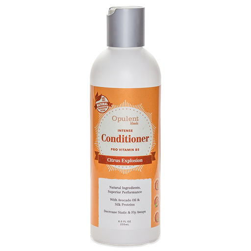 A bottle of Citrus Explosion Hair Conditioner with vibrant citrus graphics, showcasing its natural ingredients and benefits for hair health.