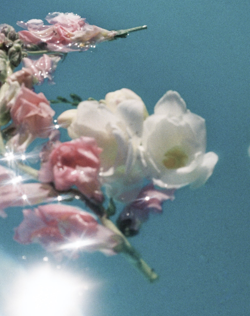 Bottle of iLM Micellar Cleansing Water with a refreshing blue label, surrounded by cotton pads and flowers.