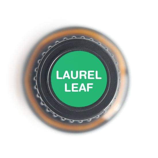 A 15ml bottle of Laurel Leaf Pure Essential Oil, showcasing its elegant design and label, with a background of laurel leaves.