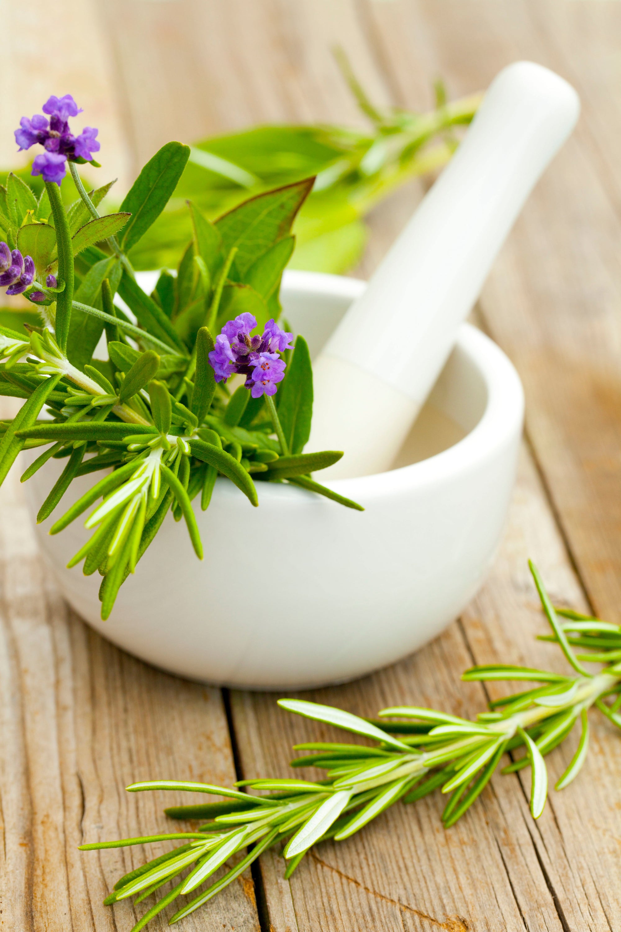 Four 90g bars of Organic Certified Solid Soap in Lavender and Rosemary scent, beautifully packaged in a mini bundle.