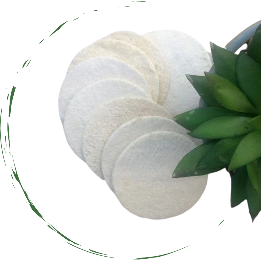 Five natural loofah pads in a pack, showcasing their off-white color and circular shape, ideal for exfoliating skin.