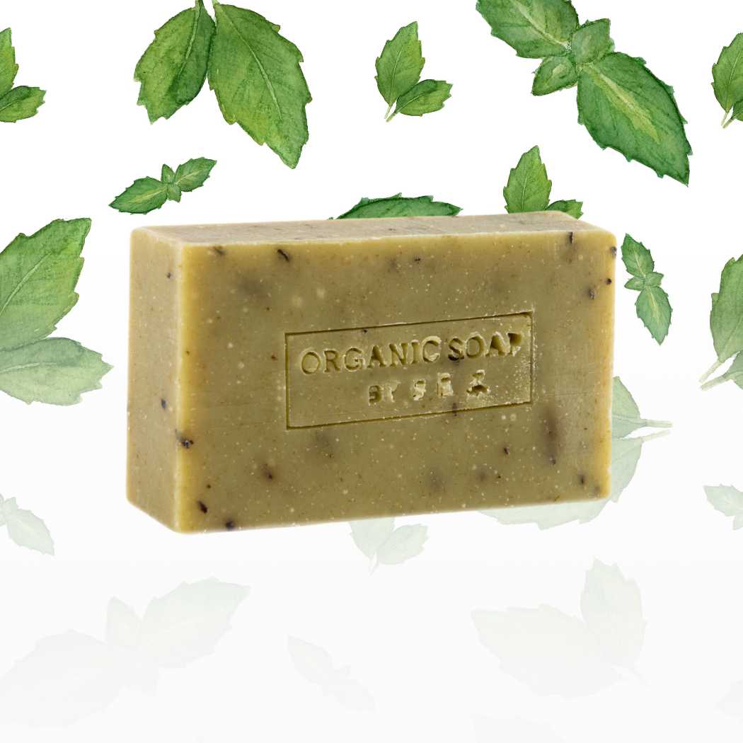 A collection of organic bar soaps in various scents, showcasing their natural ingredients and eco-friendly packaging.