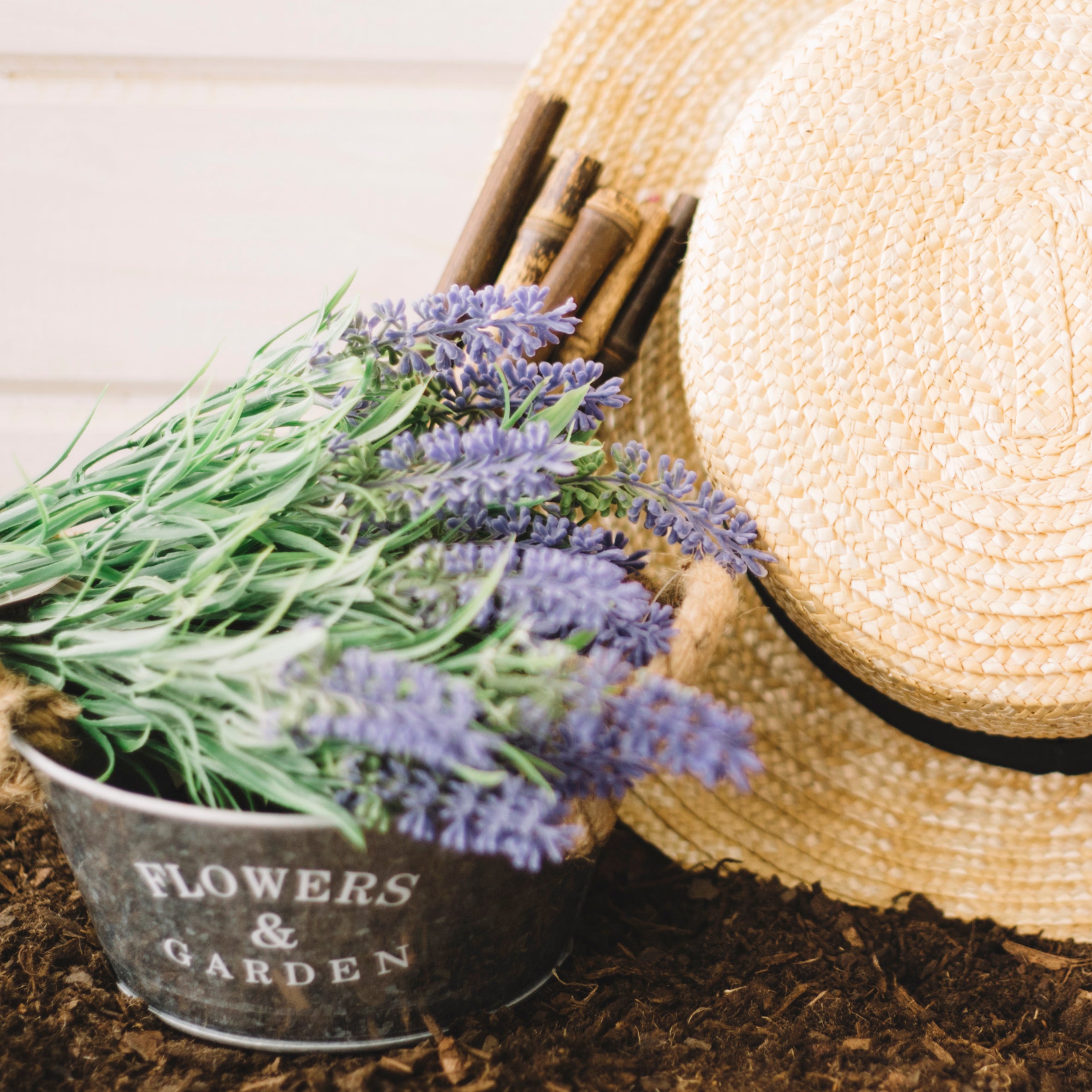 Organic Certified Balancing Solid Shampoo bar with Lavender and Rosemary, ideal for dry hair, displayed on a natural wooden background.