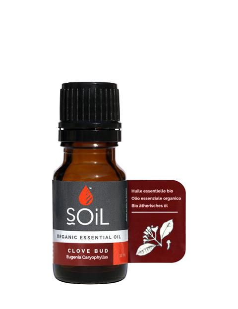 A 10ml bottle of Organic Clove Bud Essential Oil with a dark amber color, showcasing its purity and organic certification.