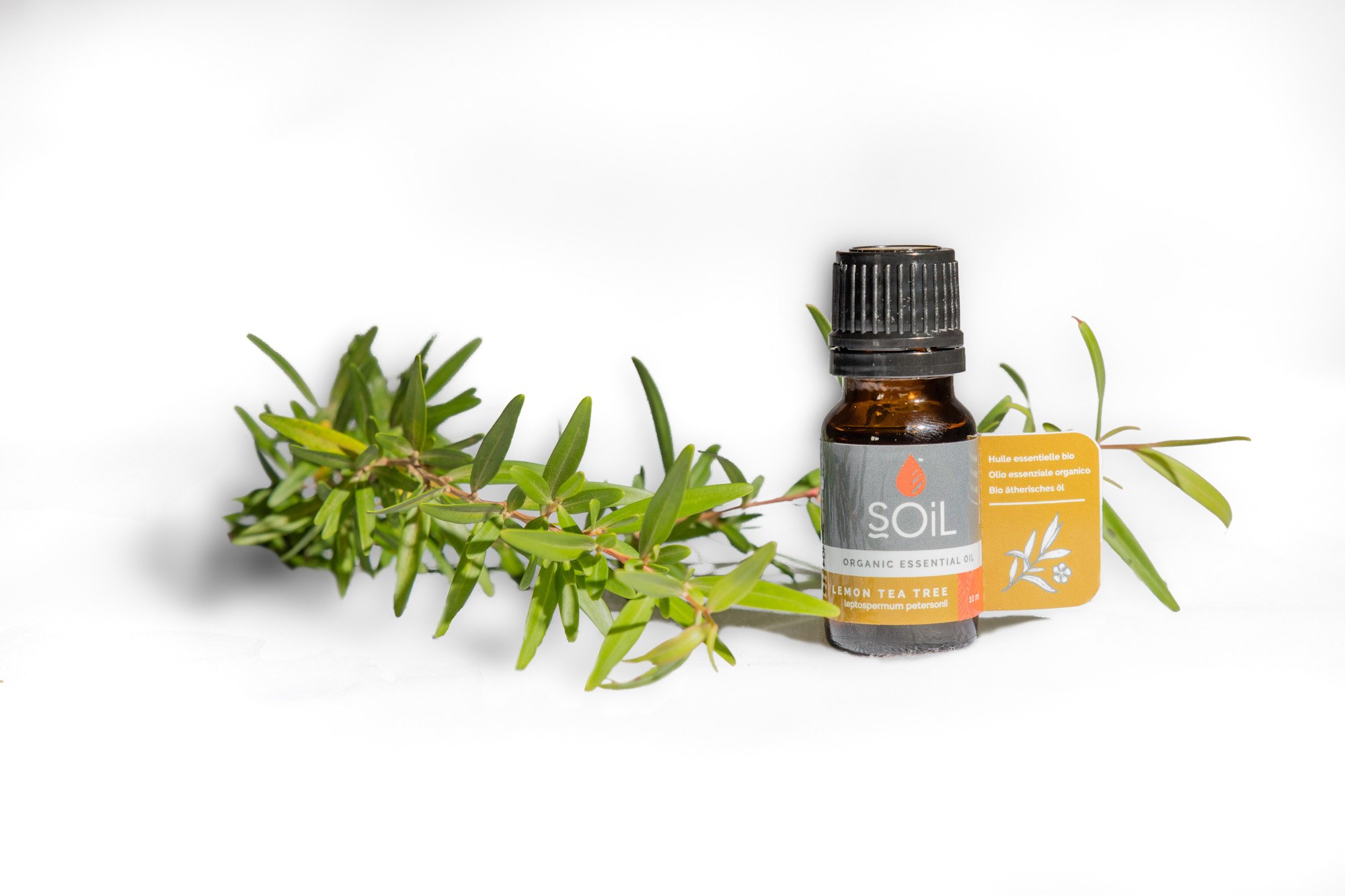 A 10ml bottle of Organic Lemon Tea Tree Essential Oil with a refreshing lemon scent, certified organic and cruelty-free.