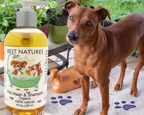 A bottle of Organic Pet Wash and Shampoo featuring a blend of natural oils, surrounded by fresh lemongrass and rosemary, showcasing its eco-friendly and vegan attributes.