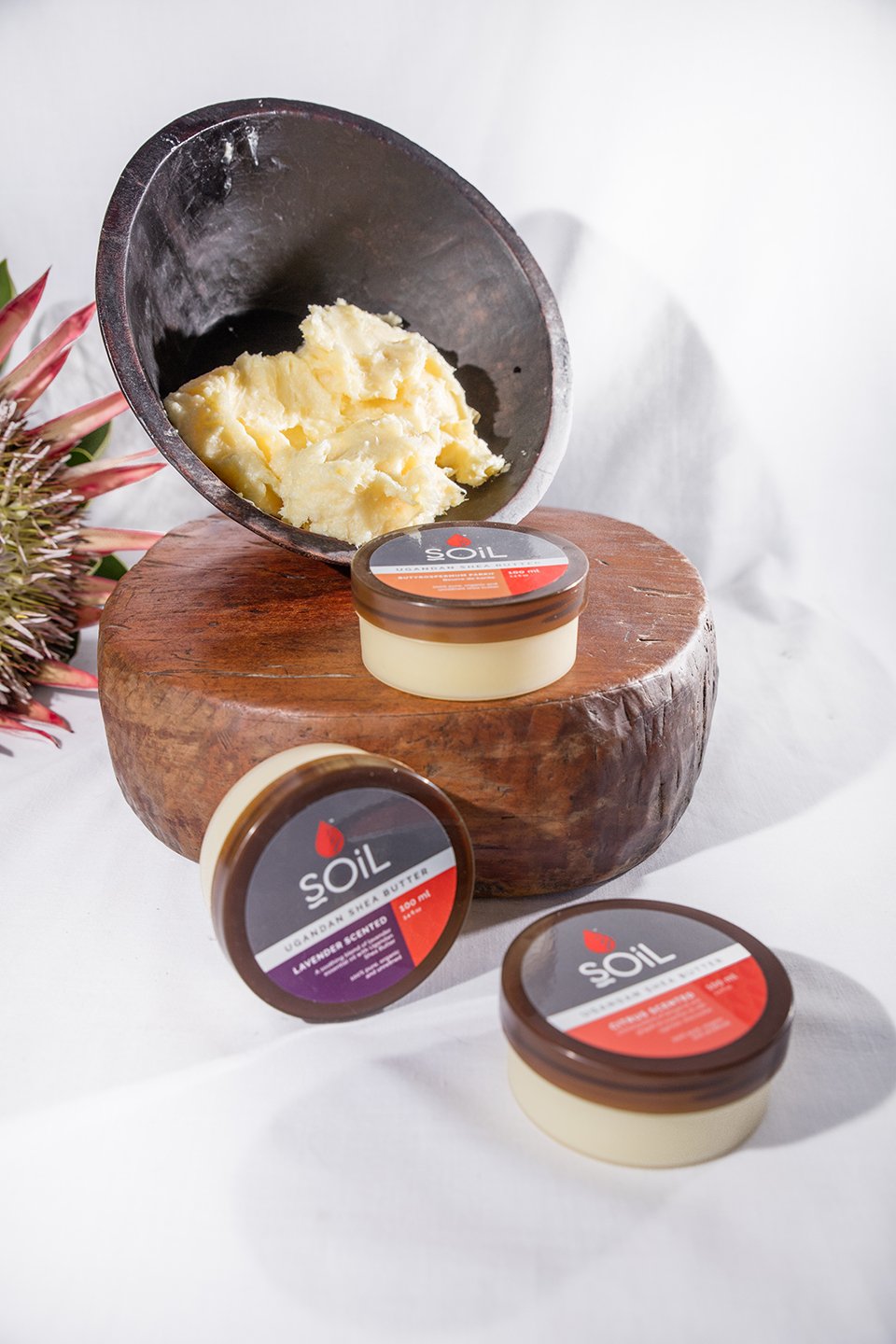 100ml jar of Organic Shea Butter with Citrus scent, showcasing its creamy texture and vibrant packaging.