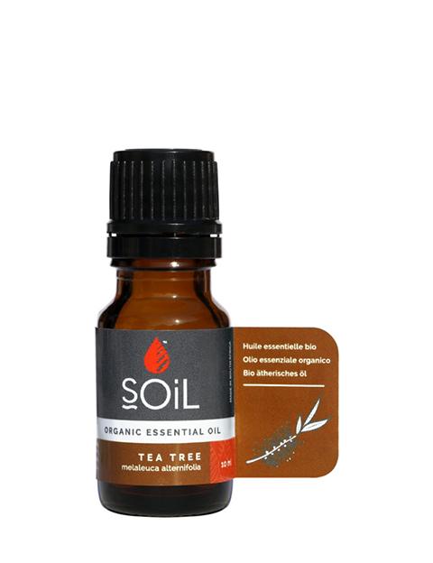 10ml bottle of Organic Tea Tree Essential Oil with a fresh and antiseptic aroma, perfect for skincare and cleaning.