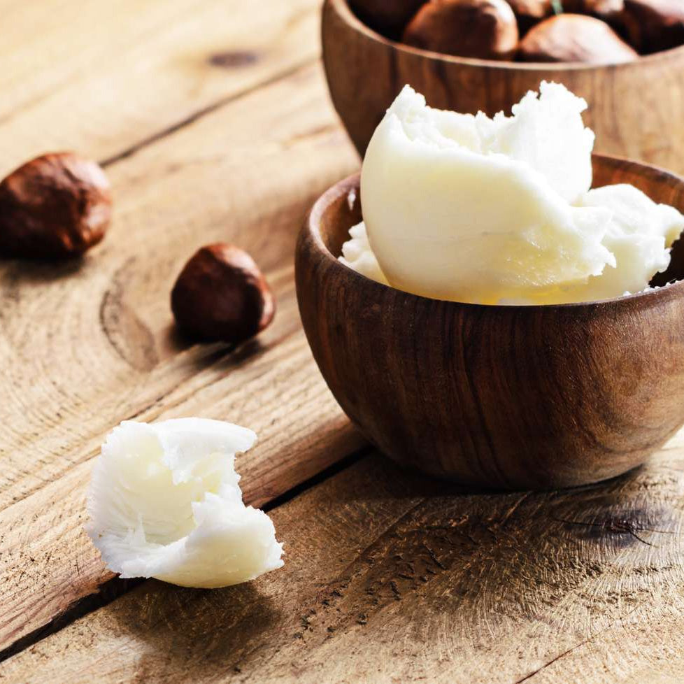 A jar of creamy, rich shea butter with a wooden scoop, surrounded by shea nuts and green leaves.