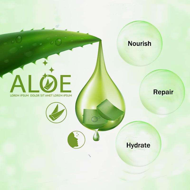 Skin Relief Body Lotion for dry skin with Aloe Vera, featuring a sleek bottle design and natural ingredients.