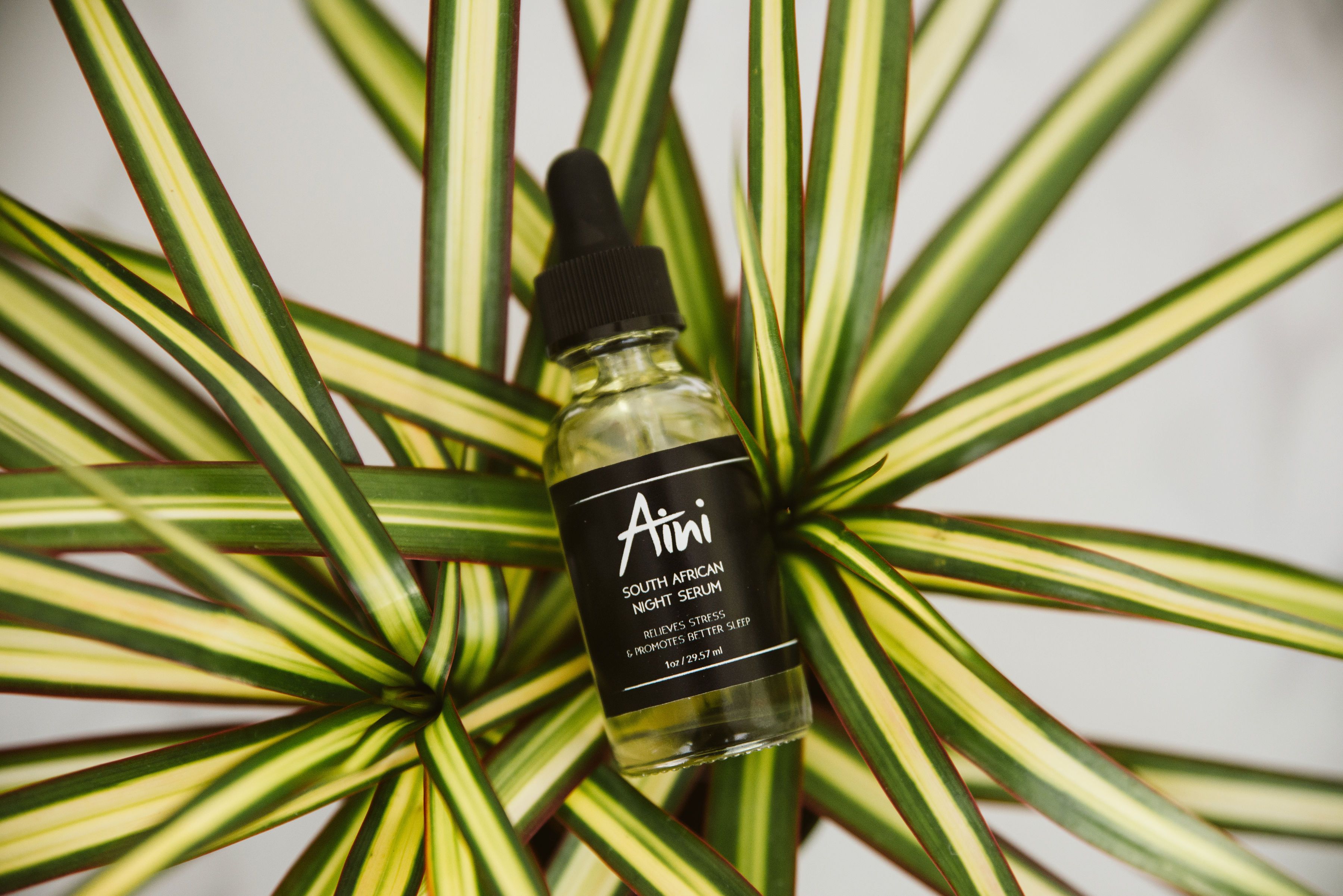 South African Night Serum bottle with citrusy ingredients, showcasing its vibrant and refreshing essence.