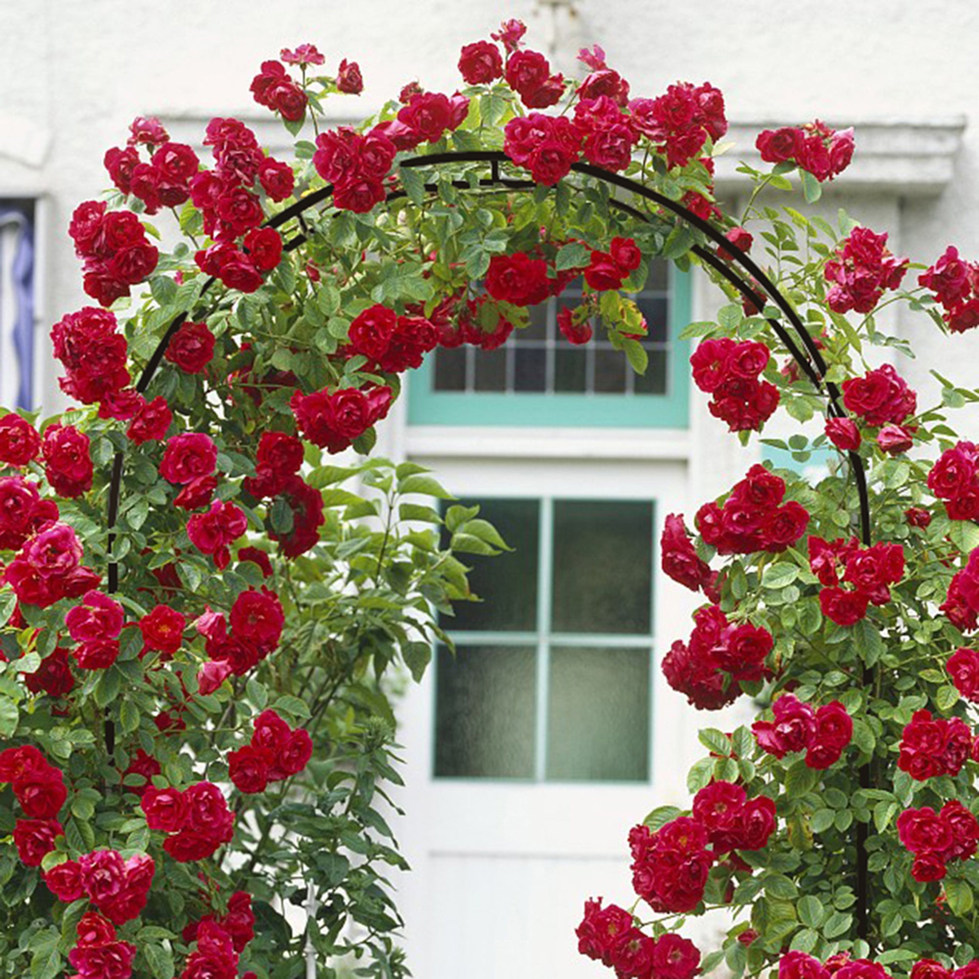 78 inch high metal garden arch trellis in dark green, supporting climbing plants with an elegant design.