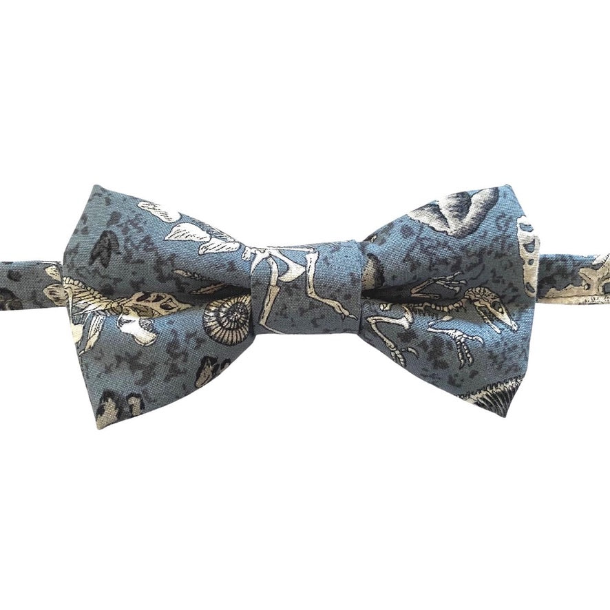 EVAN Boys Bow Tie Medium featuring a playful dinosaur fossil pattern in shades of grey, perfect for young dinosaur enthusiasts.