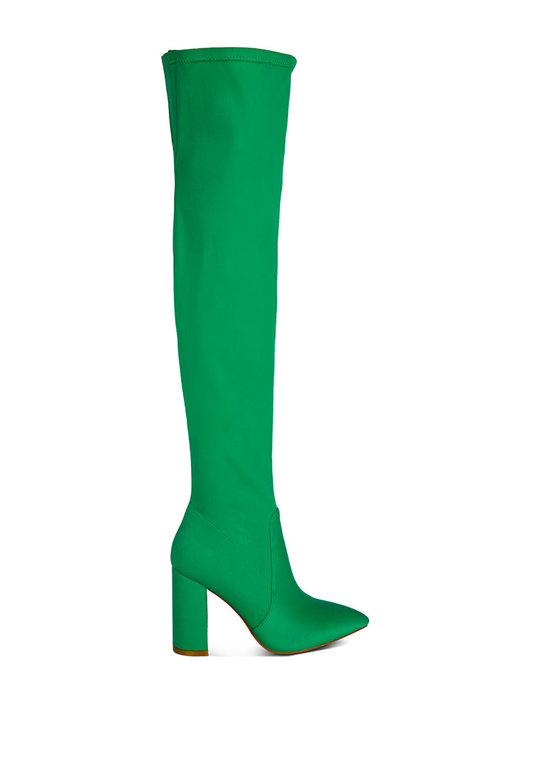 Schiffer High Block Heeled Long Boot featuring a stylish over-the-knee design with a block heel and side zipper.