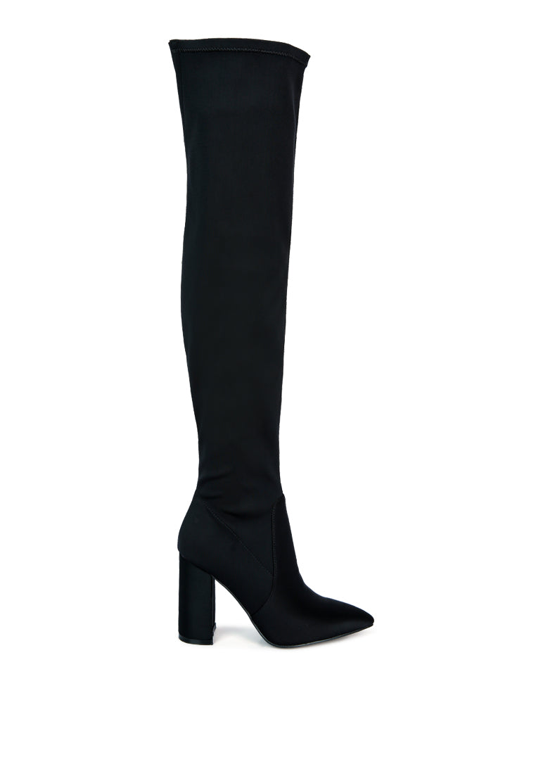 Schiffer High Block Heeled Long Boot featuring a stylish over-the-knee design with a block heel and side zipper.