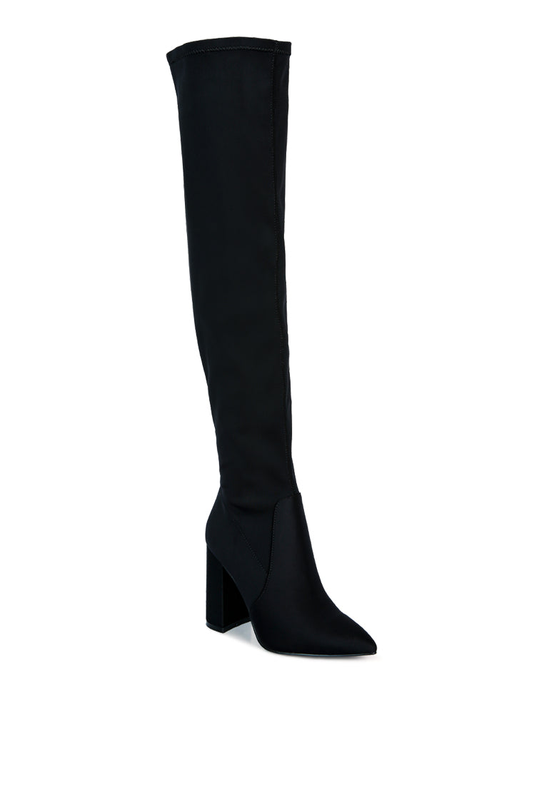 Schiffer High Block Heeled Long Boot featuring a stylish over-the-knee design with a block heel and side zipper.