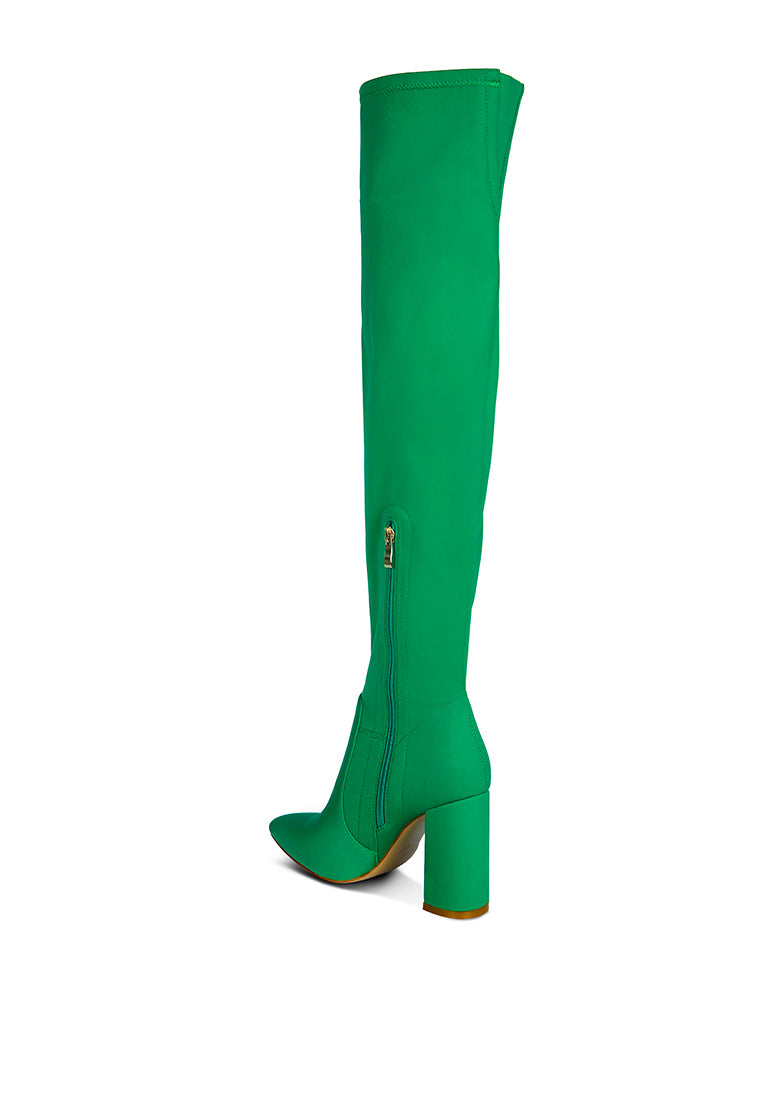 Schiffer High Block Heeled Long Boot featuring a stylish over-the-knee design with a block heel and side zipper.