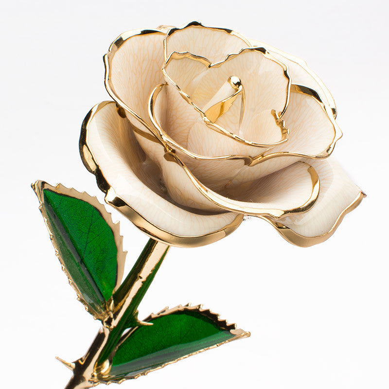 A stunning 24K gold-plated rose flower elegantly displayed in a gift box, symbolizing eternal love and appreciation.