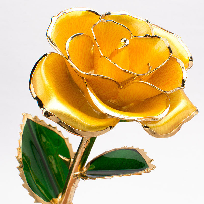 A stunning 24K gold-plated rose flower elegantly displayed in a gift box, symbolizing eternal love and appreciation.