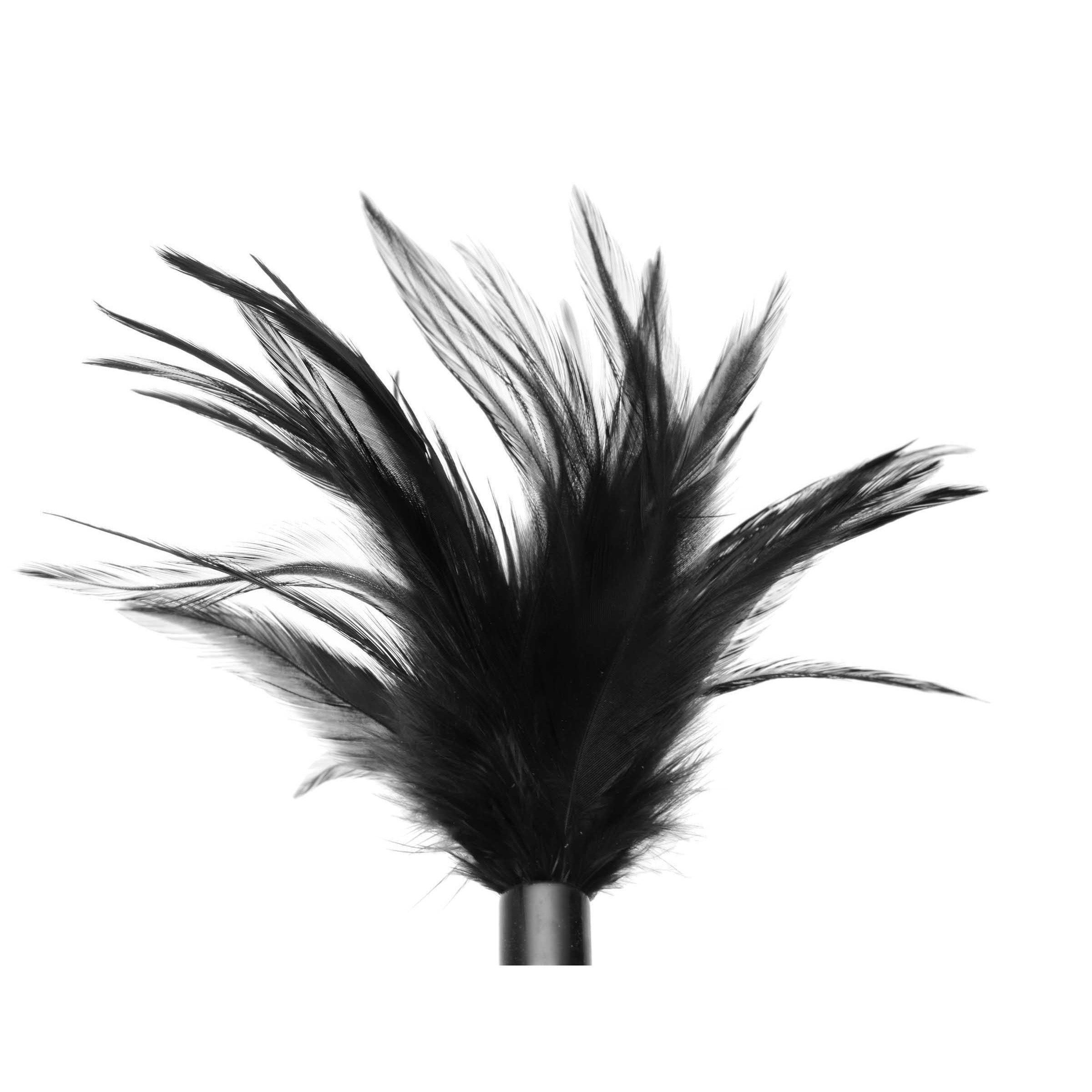 Le Plume Feather Tickler in black, featuring soft feathers and a sturdy handle, perfect for sensual play.