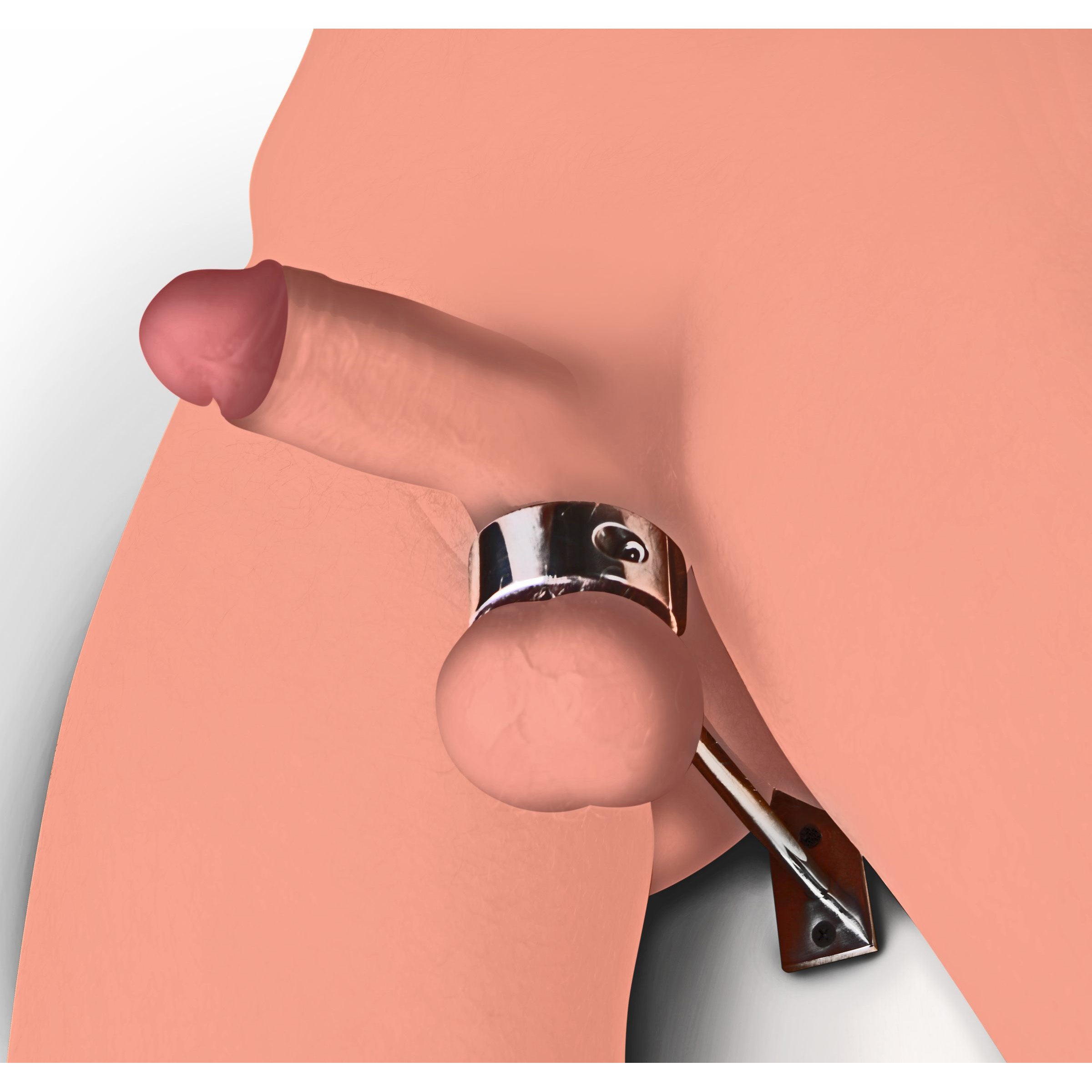 Locking Mounted CBT Scrotum Cuff made of stainless steel, securely designed for bondage play, featuring a non-removal base for mounting.