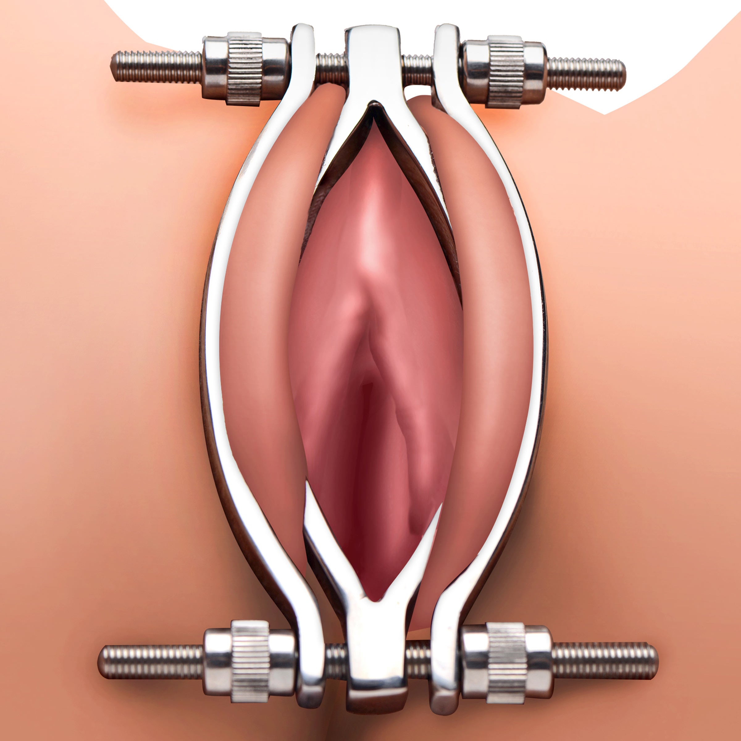 Stainless Steel Adjustable Pussy Clamp showcasing its sleek design and adjustable features for intimate play.