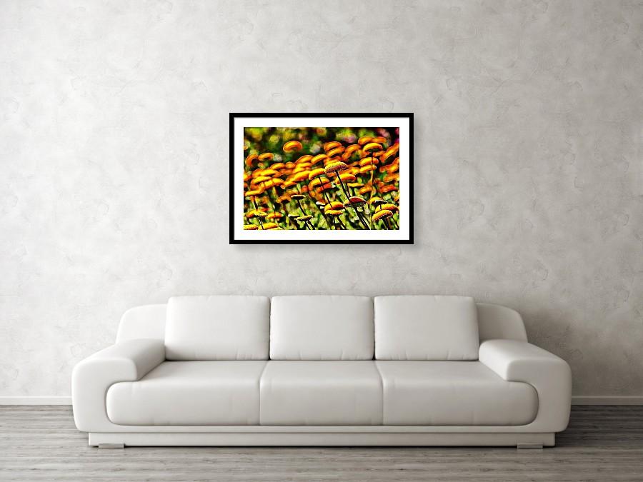 A vibrant abstract art print featuring button flowers in a gallery setting, showcasing colorful designs on acid-free paper.