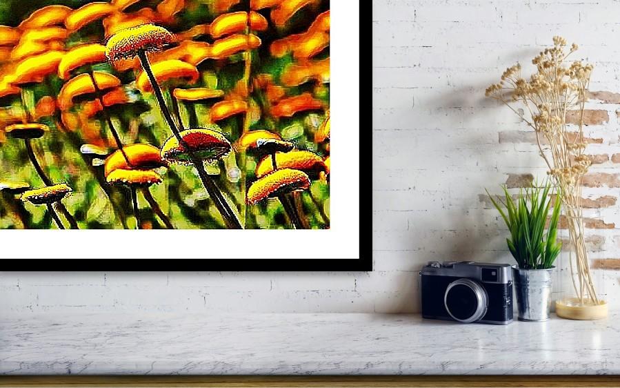 A vibrant abstract art print featuring button flowers in a gallery setting, showcasing colorful designs on acid-free paper.