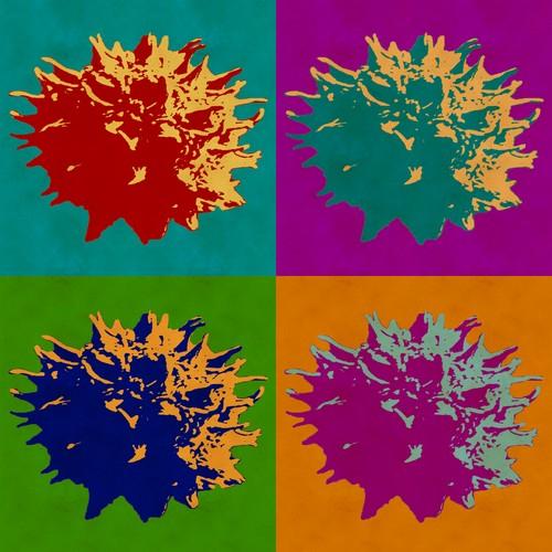 Sweet Gum Balls Modern Abstract Pop Art Canvas Print featuring colorful abstract design on canvas, ideal for home or office decor.