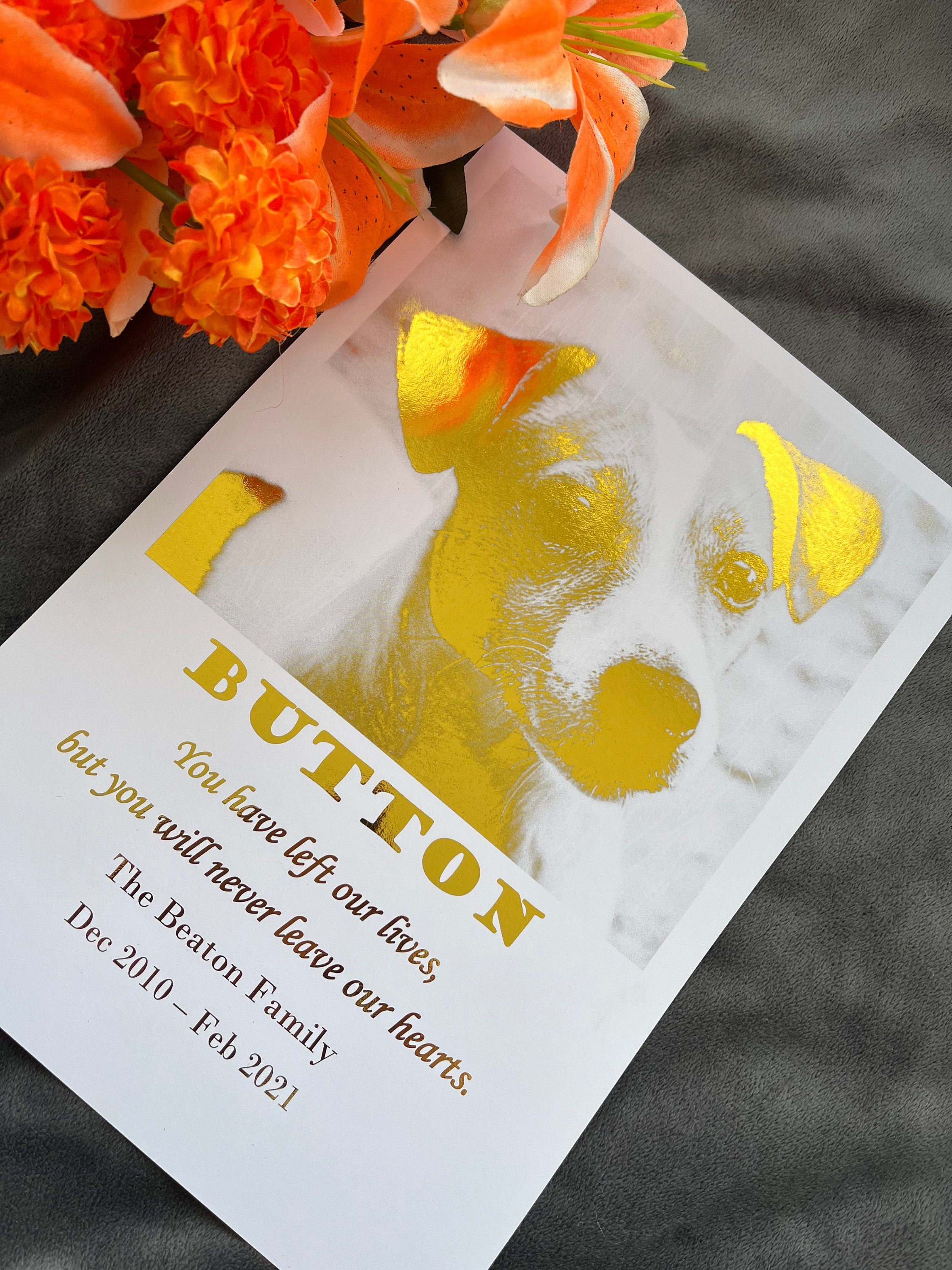 A beautiful Loss of a Pet Foil Print featuring gold foil design and personalized remembrance words, showcasing a cherished pet photo.